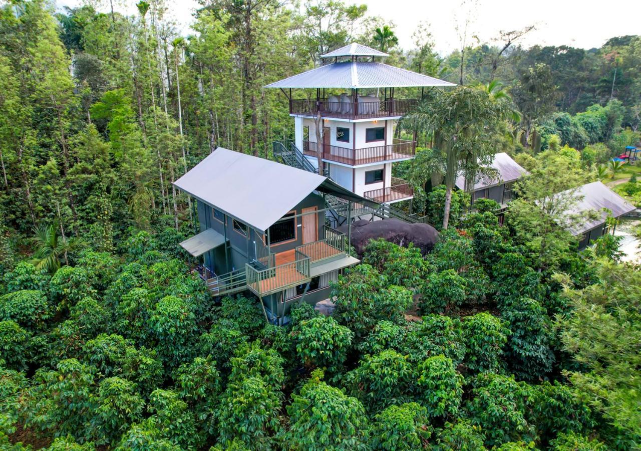 Niyatma Wayanad Pool Resort By Voye Homes Exterior photo